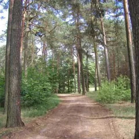 Gościnne gospodarstwo agroturystyczne - Szczytno