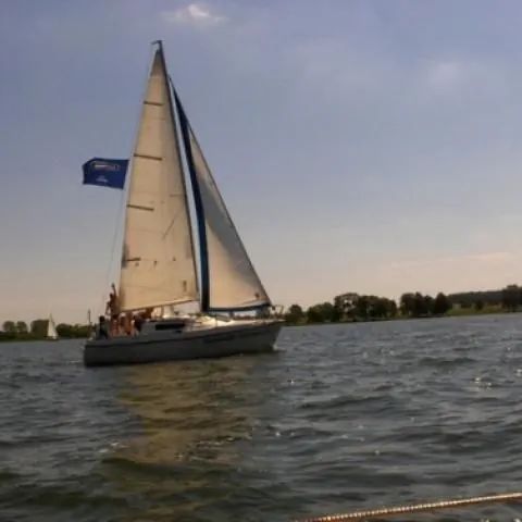 EVERAL CZARTERY Wejsuny