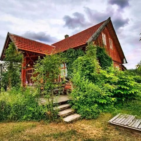 Dom Butterfly Factory. Godki