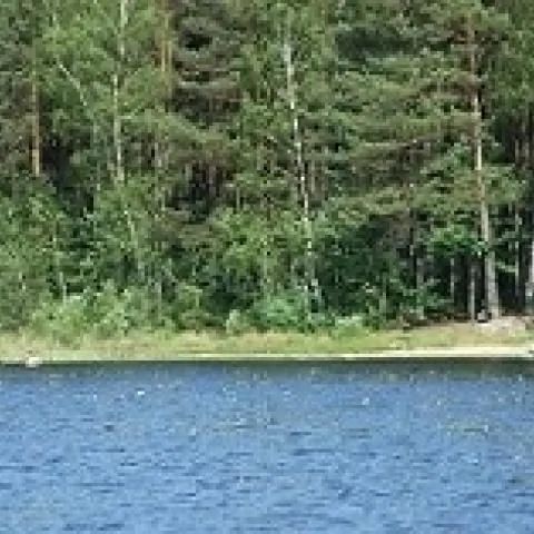 BORY TUCHOLSKIE - jeziora - noclegi Osiek