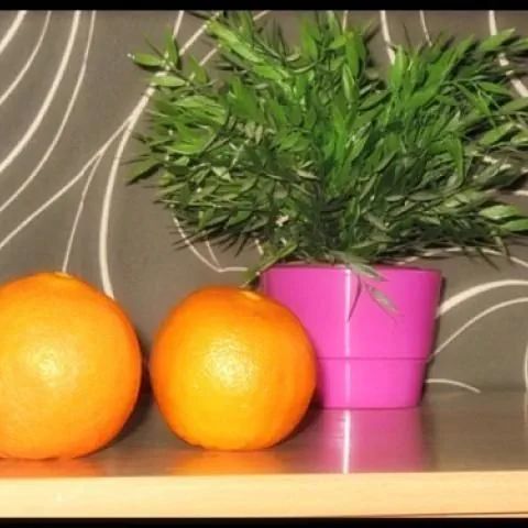 Hostel Orange Plus Toruń