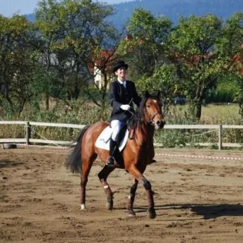 Agroturystyka - jazda konna SJK Hucuł Myślenice