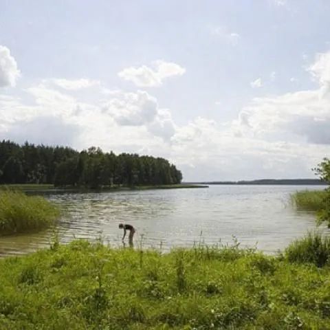 Pole namiotowe Bogacko