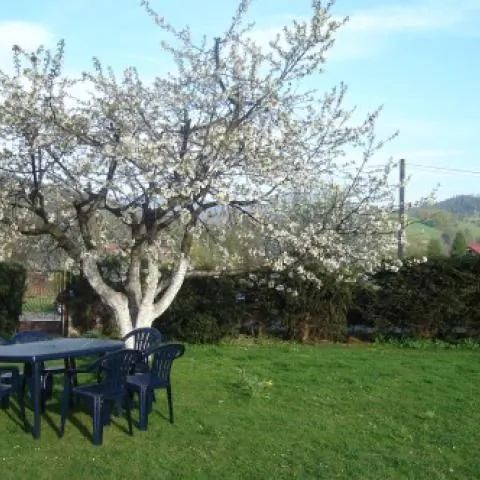 Apartament u Endiego Wisła