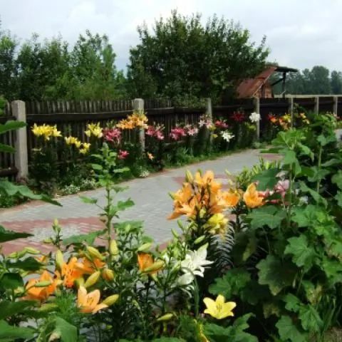 Agroturystyka Skrzypczyk Dąbrowice