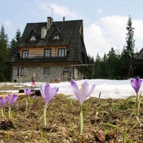 Zajazd Józef. Witów