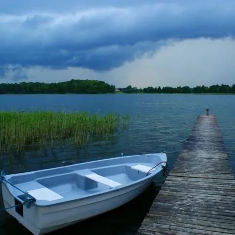 Agrofarma Serwy Płaska