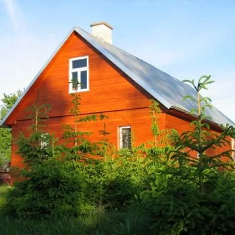 Gospodarstwo agroturystyczne "Szuszalewo"   Dąbrowa Białostocka