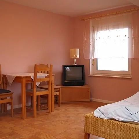 Różana Aleja - Agroturystyka Sędzisław