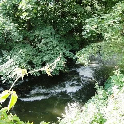 Gospodarstwo agroturystyczne Przy Starym Młynie Lidzbark