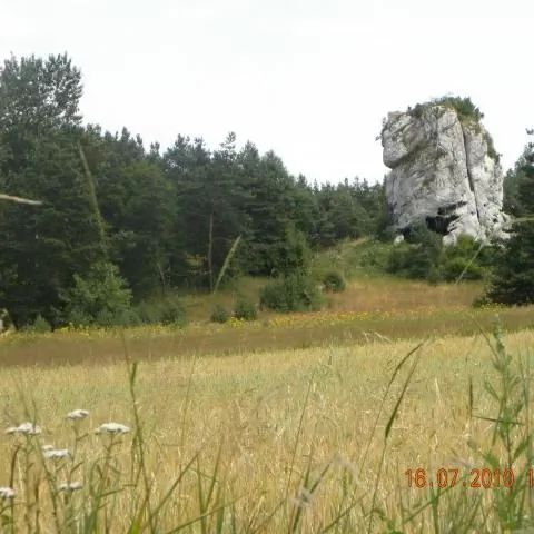 Pod Basztą. Ryczów