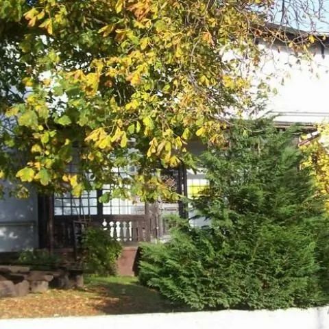 Gospodarstwo Agroturystyczne "Pałac" Sztum