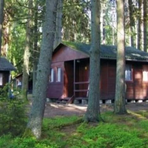 Ośrodek Wypoczynkowy RYŚ Pisz