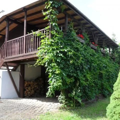 Domek Letniskowy ul. Modrzewiowa Narty