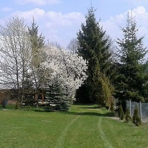 Domek z widokiem. Jabłonka