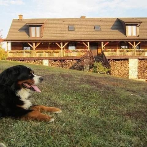 Pensjonat Podlesice Kroczyce 