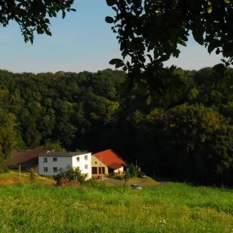 Agroturystyka Cicha Dolinka Poręba