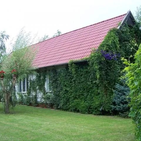 Domek całoroczny. Pasym