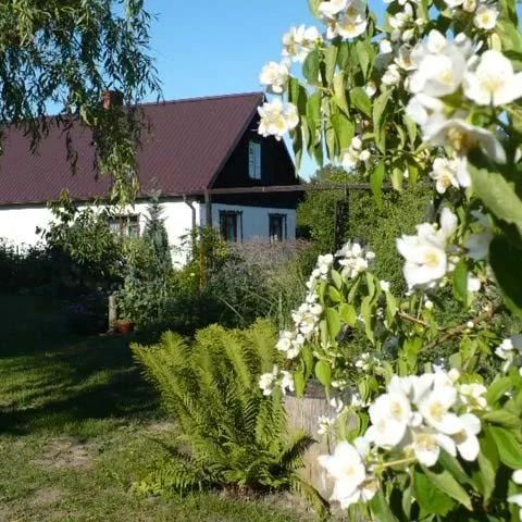 Letnia - pokoje gościnne. Mikoszewo