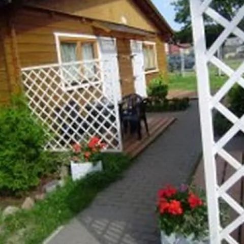 Albatros. Międzywodzie