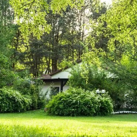 Agroturystyka Lema Wielkopolska Lubuskie nad jeziorem Miedzichowo