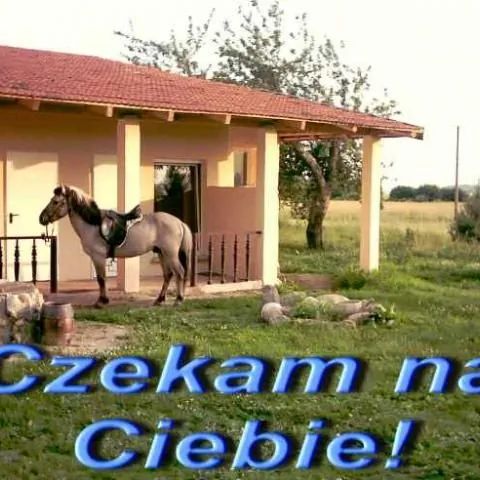 Gospodarstwo Agroturustyczne Terraja Drozdowo