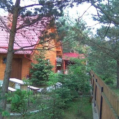 Apartament Olpuch Wdzydze Kiszewskie