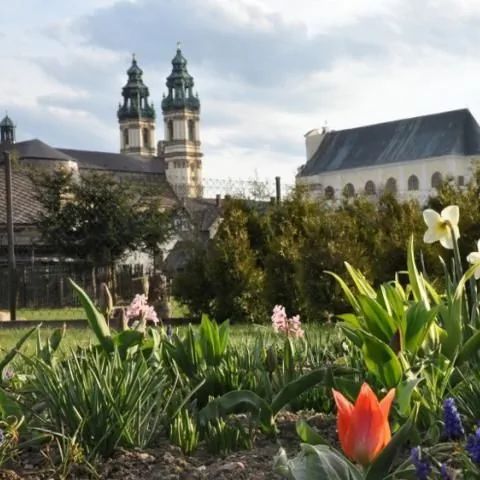 Mała Chatka - Krzeszów