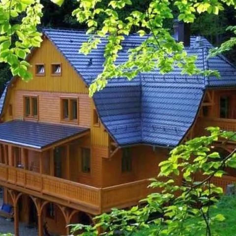 Pensjonat Alpejski Dwór Międzygórze