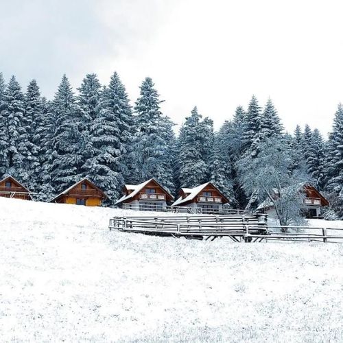 Domki w Kasinie Kasina Wielka