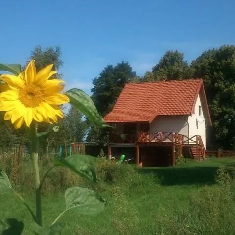 Dom Hermanówka. Kosewo