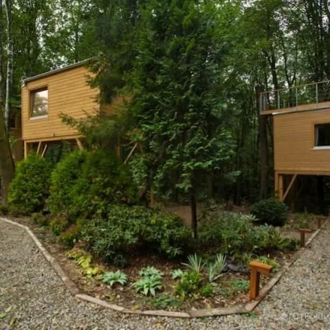 Apartamenty W DRZEWACH Nałęczów
