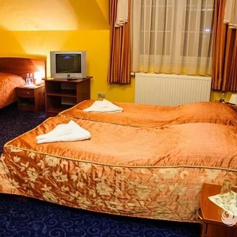 Fenix Hotel*** Trzebownisko