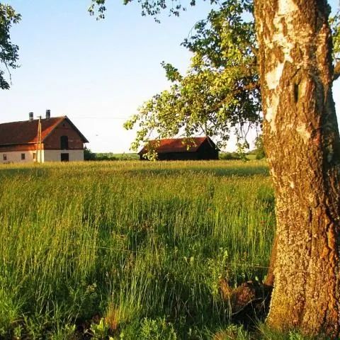 Agroturystyka LOLKOWO Srokowo