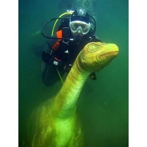 Domki Wypoczynkowe Płotki LUX Piła