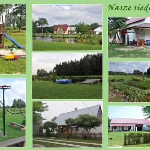 Gospodarstwo Agroturystyczne Leśne Zacisze Baruchowo