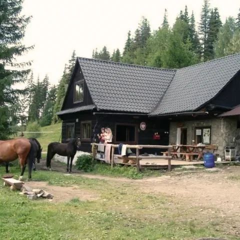 Chatka Studencka Rogacz Wilkowice