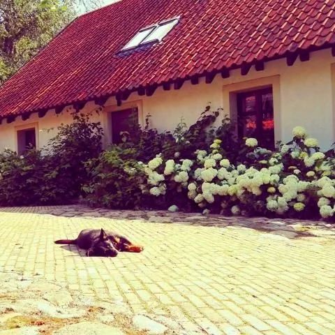 Siedlisko Błominko Rzeck