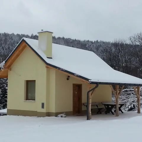 Domek na Strwiążku Ustrzyki Dolne