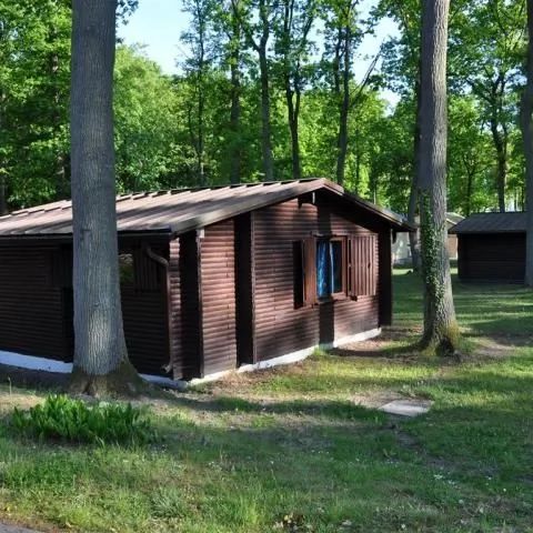 Abundia pod dębami Rewal