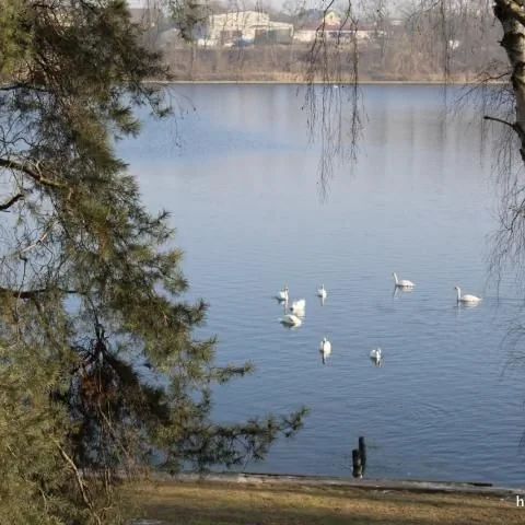 Hotel Mikorzyn Ślesin