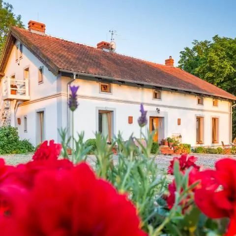 Agroturystyka Siedlisko Blanki Lidzbark Warmiński