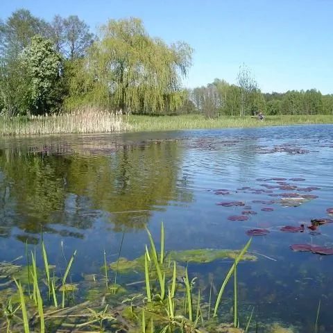 TARTAK Gospodarstwo Agroturystyczne w Brudnowie Dalików