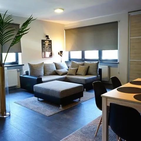 APARTAMENTY MILENIUM Ustroń