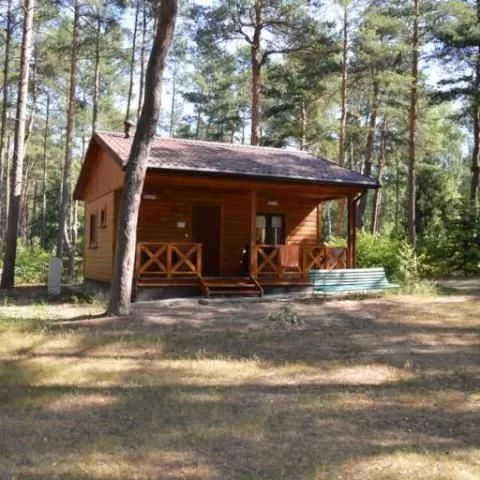 Ośrodek Wypoczynkowy w Wildze Wilga