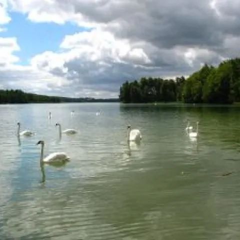 DĘBOWA DOLINA. BOROWY MŁYN
