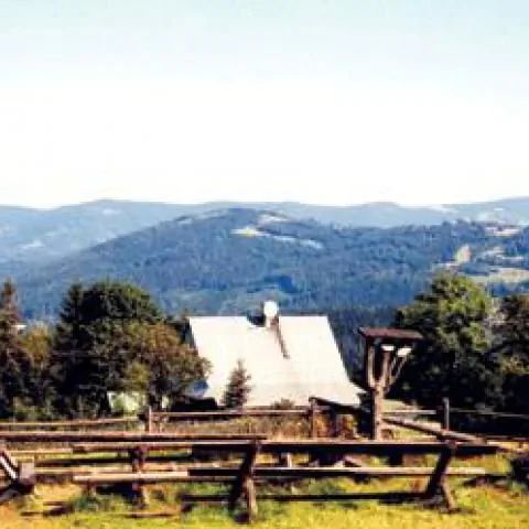 Schronisko TELESFORÓWKA Brenna