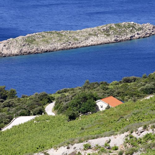 Nyaralóház Parkolóhellyel Dingac - Pristranj, Peljesac - 660 Dingač - Pristranj