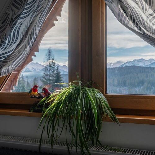 Domki i Apartamenty Tybet Bukowina Tatrzańska