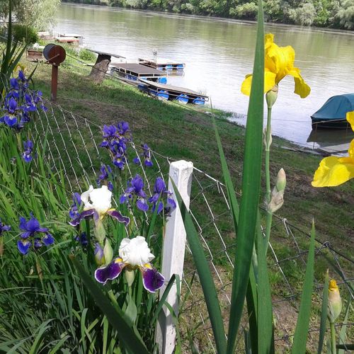 Anita Vendégház Szeged